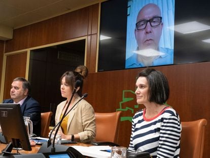 Oihana Goiriena (a la derecha), esposa de Pablo González, y su abogado, Gonzalo Boye (en la pantalla), intervienen este lunes en el Parlamento vasco.