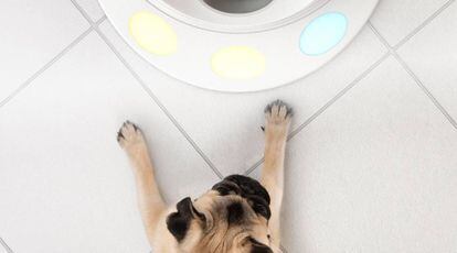 Un perro juega con un dispositivo diseñado para estimular sus reflejos y aptitudes.