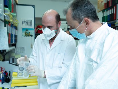 El ministro Pedro Duque (derecha), junto al investigador Juan García Arriaza, en el laboratorio de Mariano Esteban, en el Centro Nacional de Biotecnología, en Madrid, el 16 de abril.