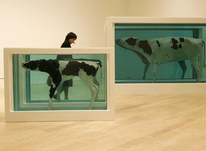 Una visitante observa la obra de Damien Hirst <i>Mother and child divided</i> en una retrospectiva de los premios Turner celebrada este año en Japón.