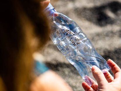 Por qué los plásticos son recursos imprescindibles para un futuro circular