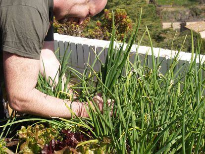 Mesas de cultivo de madera en Madrid. 