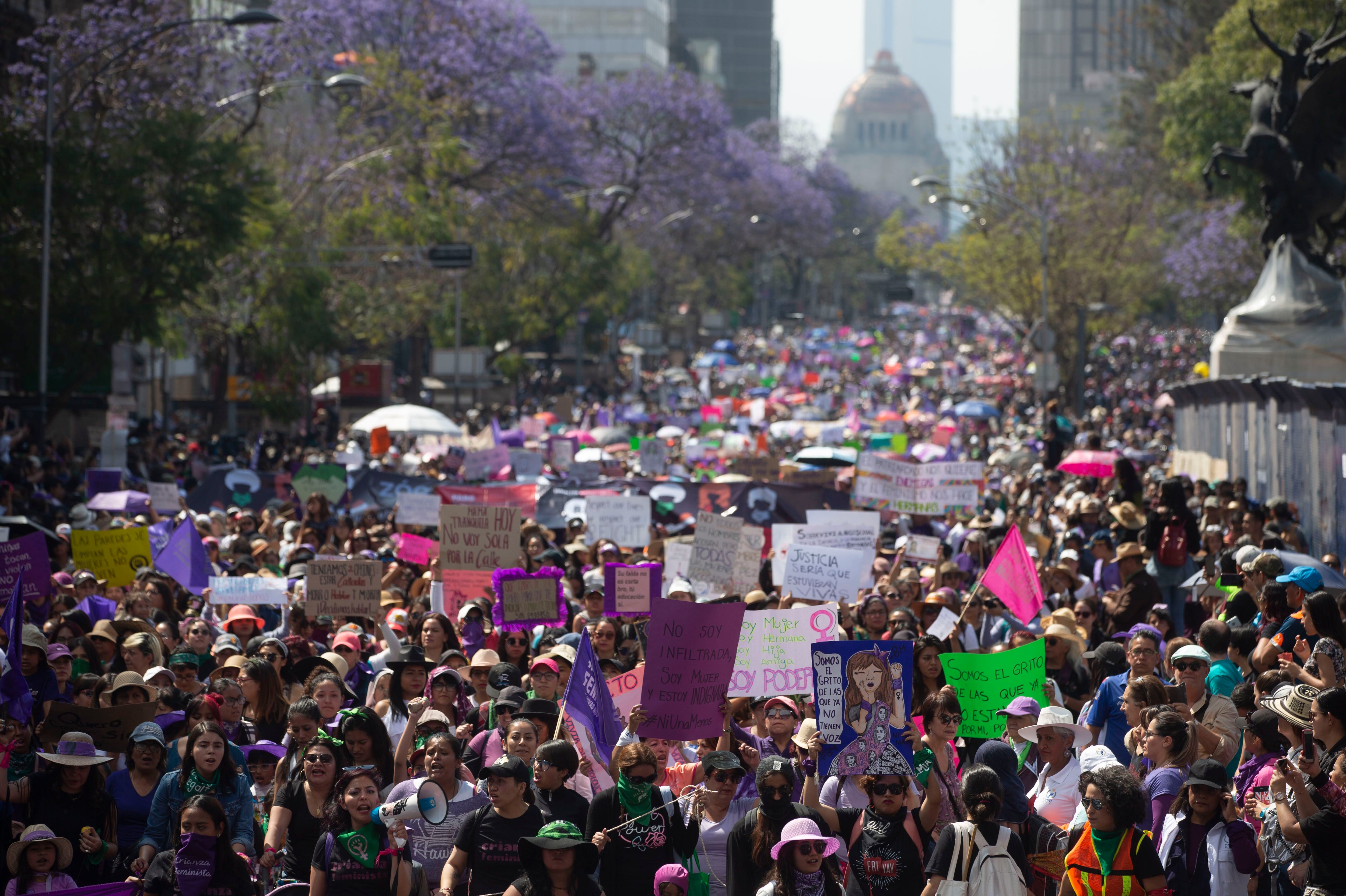 Solo las jacarandas están con nosotras