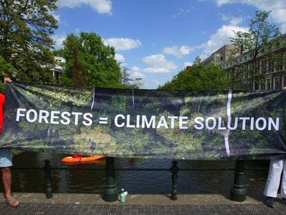 Protesta de Greenpeace en la embajada de Brasil en Holanda por la deforestación. 