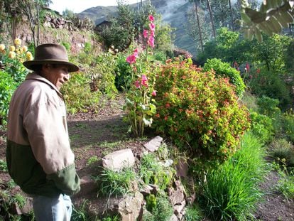 Huerto ecológico en Paras, Perú.