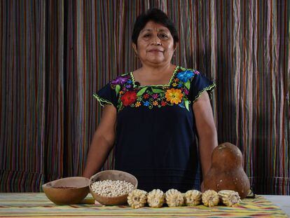 Leydy Araceli Pech, indígena maya mexicana, ganó el Premio Goldman 2020.