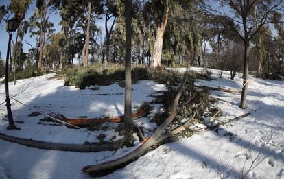 Zonas nevadas y restos de ramas en el madrileño parque de El Retiro este viernes.