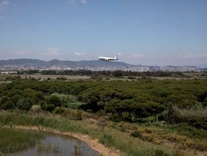 Terrenos del delta del rio Llobregat, al lado del aeropuerto.