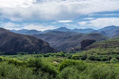 Sierra Madre Occidental en Sonora (México), agosto de 2019