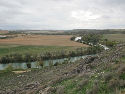 Vista de un meandro del río Tajo desde el yacimiento arqueológico de Caraca, en Driebes (Guadalajara)
