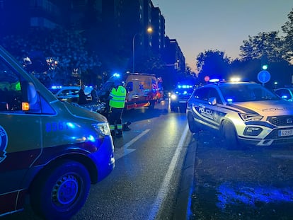 Agentes de la Policía Municipal de Madrid y sanitarios del Samur, en el lugar del atropello, el número 264 de la avenida de la Albufera.