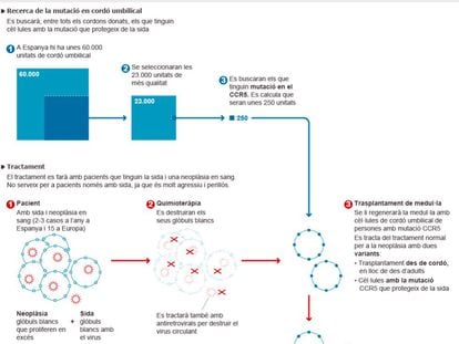 Cap a la curació de la sida amb trasplantament de cordó umbilical