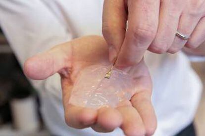 El implante usado para recoger las señales del cerebro del mono.