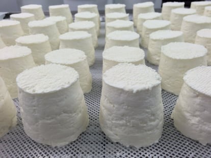Golden Cross. Golden Cross Cheese (www.goldencrosscheese.co.uk). Reino Unido