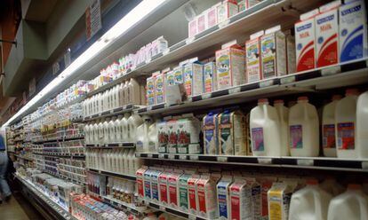 Lineal de un supermercado con productos lácteos.
