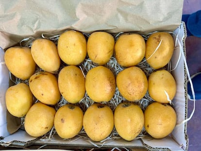 Nísperos de pequeños productores con el sello