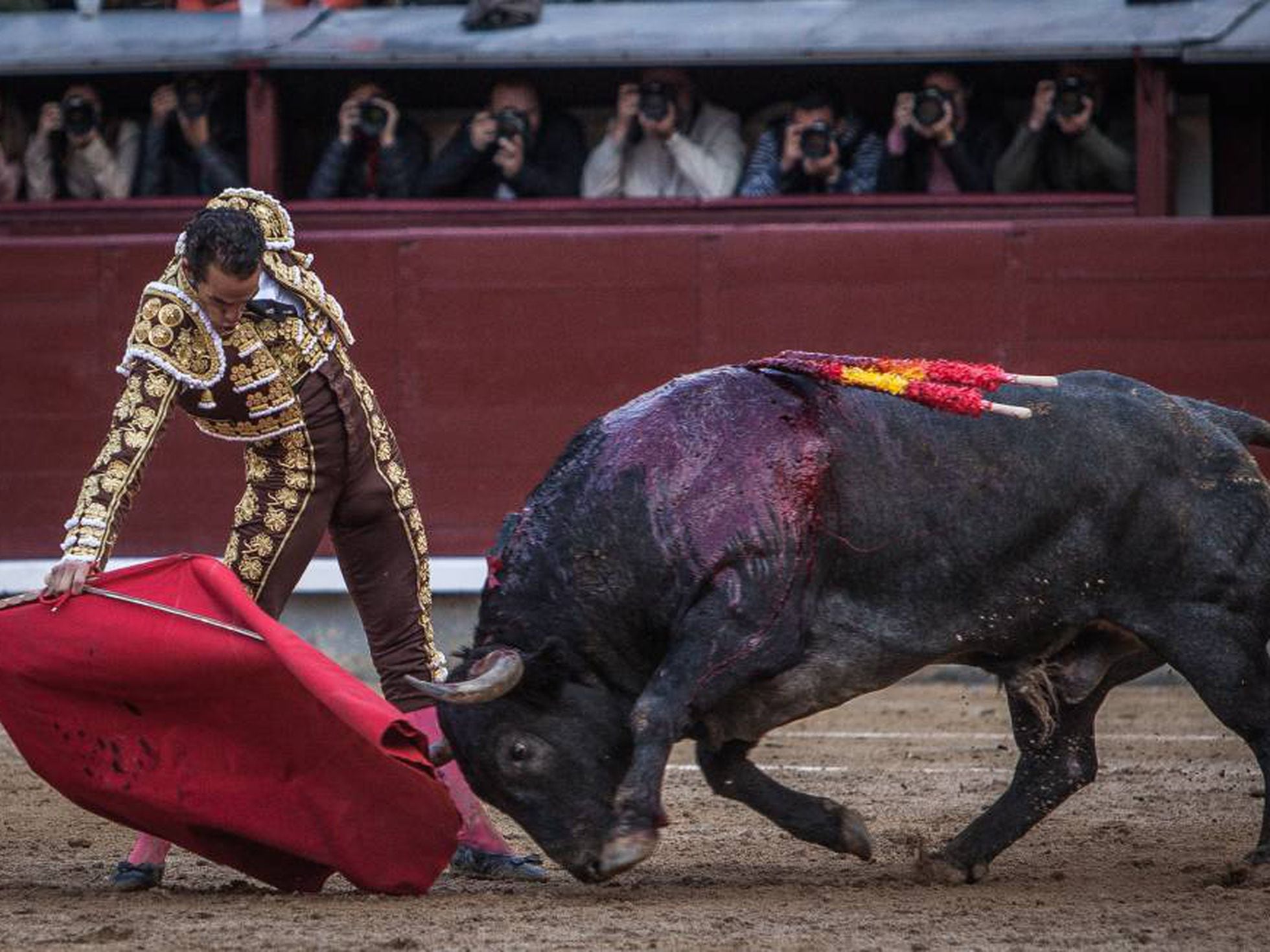 Adolfo Martín, la pasión por el toro | El toro, por los cuernos | Cultura |  EL PAÍS