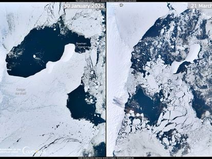 A la izquierda, imagen de la plataforma de 1.200 kilómetros cuadrados en el glaciar Conger antes de desprenderse; a la derecha, su aspecto tras el desplome.