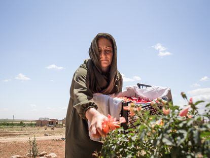 Ezîze, residente de Jinwar, recoge flores para hacer medicinas homeopáticas.
