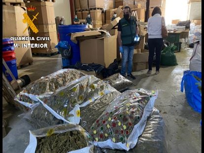 Un agente de la Guardia Civil ante parte del material del que se ha incautado la Operación Overdose, en la que se ha desmantelado una de las primeras fábricas de hachís asentadas en España.