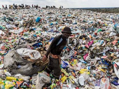 Día mundial del medio ambiente: la lucha contra los plásticos, en imágenes