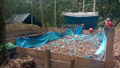 Drug maceration pond in Unipacuyacu.
