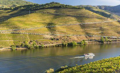 Viñedos junto al río Duero, cerca de la localidad portuguesa de Pinhão.