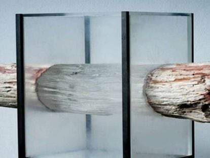 En vídeo, el proceso de obtención de madera transparente explicado.