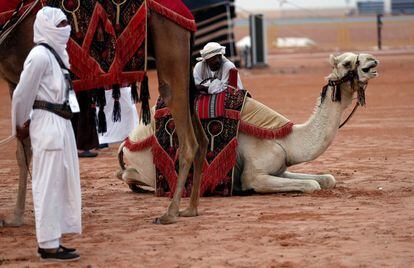 Un hombre se posa sobre su camello mientras éste permanece recostado en el suelo.