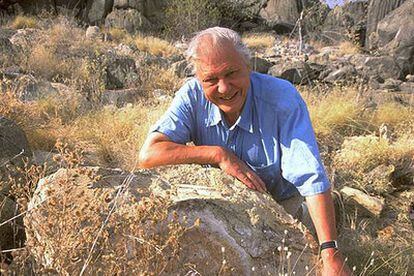 El naturalista británico David Attenborough.