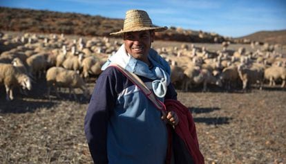 un pastor posa en los campos del pueblo de Alfambra, Teruel.