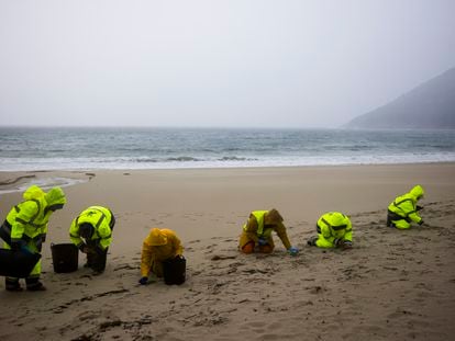 Trabajadores contratados por la aseguradora del barco trabajan en la limpieza de los arenales de Muros.