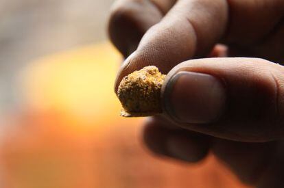 Un minero muestra una pepita de oro.