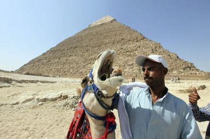 Un hombre da de comer a su camello junto a la milenaria pir&aacute;mide de Kefr&eacute;n, en Giza, El Cairo.
