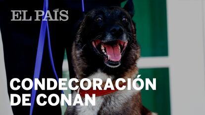Trump rinde honores al perro que participó en la operación contra el terrorista Al Bagdadi
