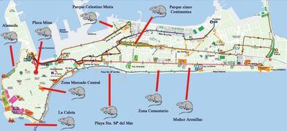 Mapa elaborado por la formación local del Partido Popular en Cádiz.