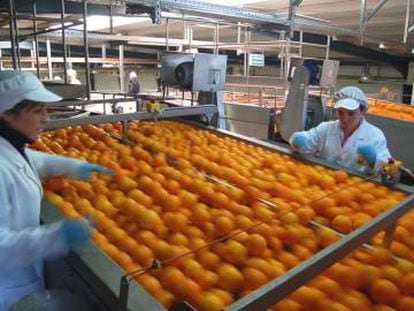 La planta de producci&oacute;n de Garc&iacute;a Carri&oacute;n en Huelva