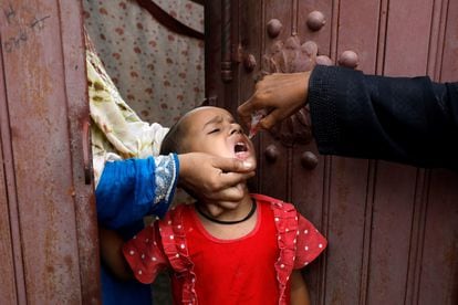 Una niña recibe gotas de la vacuna oral contra la poliomielitis, durante una campaña de inmunización en la ciudad de Karachi, en Pakistán.