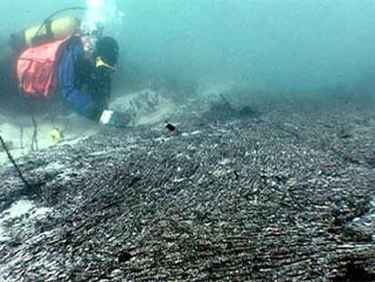 Un submarinista limpia una gran capa de fuel en el fondo marino cercano a la isla de Ons (Pontevedra).