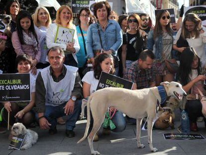 Teresa Romero, la auxiliar de enfermer&iacute;a que se infect&oacute; de &eacute;bola en Espa&ntilde;a, en una manifestaci&oacute;n convocada por el partido animalista PACMA.