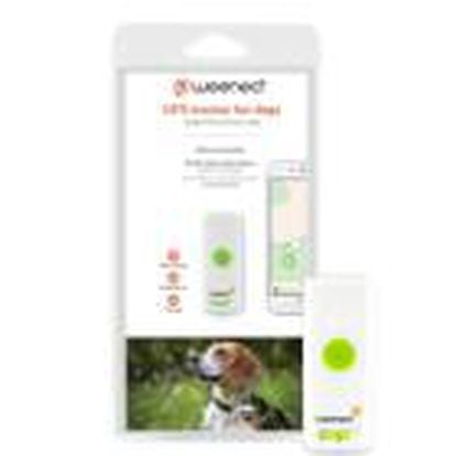 Collar adiestramiento Weenect localizador GPS gato 4G/2G - Animal Sapiens