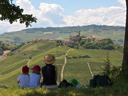 Panorámica de los viñedos de Langhe, en la región del Piamonte (Italia), con el pueblo de Castiglione Falletto al fondo.