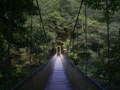 Puente colgante sobre el río Eume en el parque de As Fragas