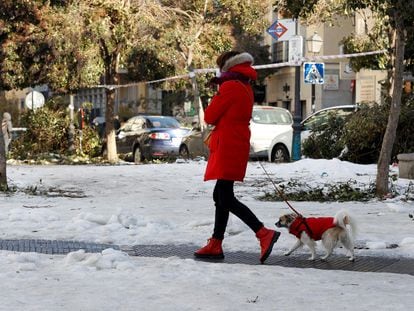 Una mujer pasea este domingo con su perro en una calle del centro de Madrid.