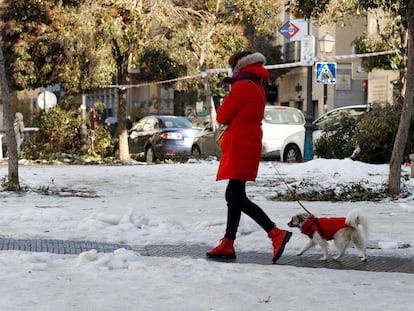 Una mujer pasea este domingo con su perro en una calle del centro de Madrid.