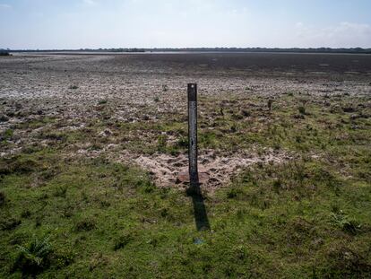 Imagen tomada el jueves de una escala limnimétrica colocada en 2013 en la laguna de Santa Olalla, cuando la cubría el agua.