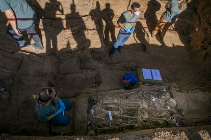 Personal técnico trabaja en la exhumación de la fosa común de Pico Reja, en Sevilla.