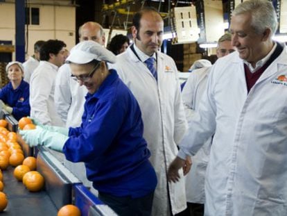 Javier Arenas, en una empresa de cítricos en Écija.