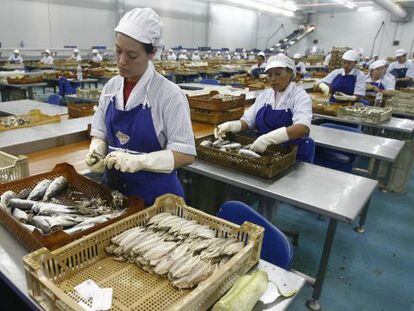 Trabajadoras en una conservera de Huelva.