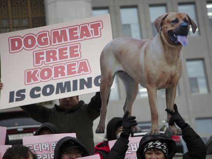 Miembros de grupos activistas por los derechos de los animales de Corea del Sur sostienen una pancarta de un perro durante una manifestación para ilegalizar el consumo de carne de estos animales.